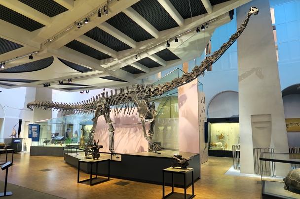 naturhistorisches museum der universitat zurich 8-2024 0921